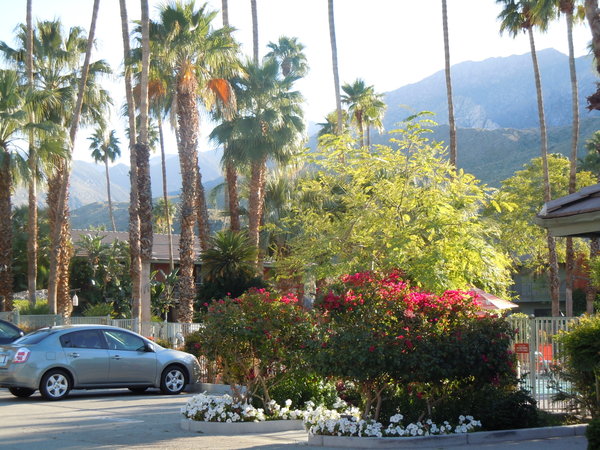 Palm Springs Motel