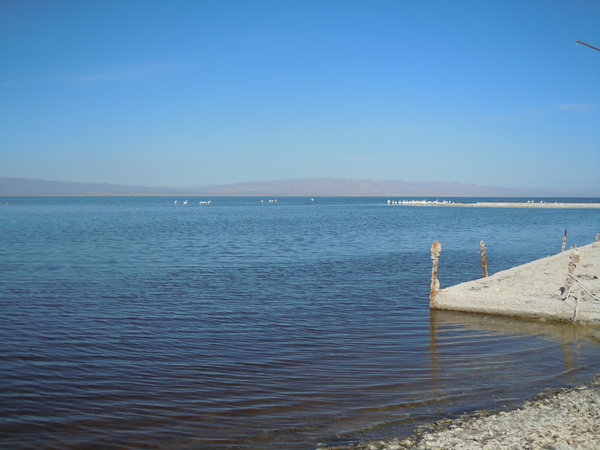 The dying Salton Sea
