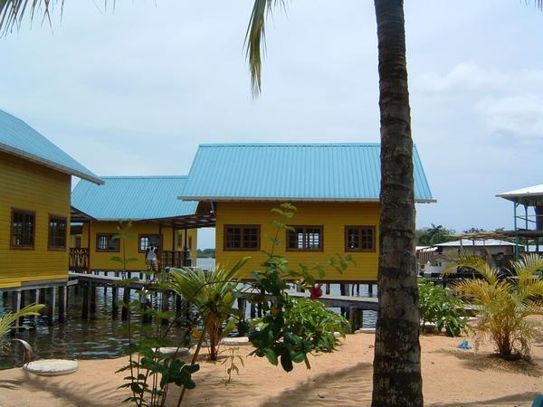 Bocas town