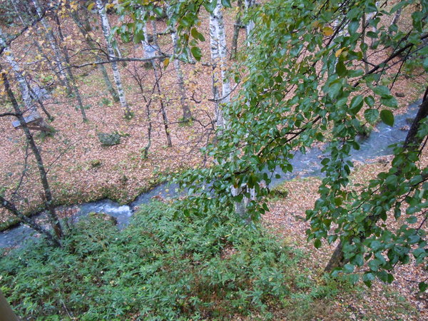 Stream from our window