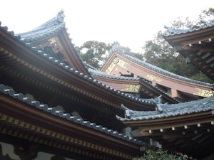 Roofs at the Hasa-Dera Temple