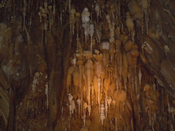 The bulb shaped formations are unique to this cave.