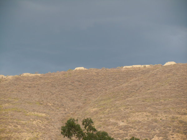 View of Monte Alban ruins from below