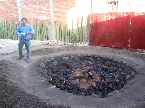 Pit for roasting the agave