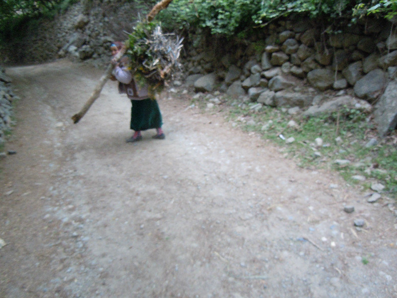 Woman carrying a very heavy load