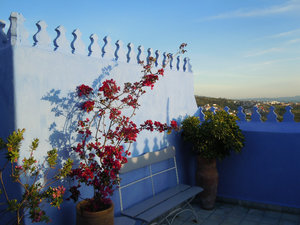 Terrace of Casa Perlita