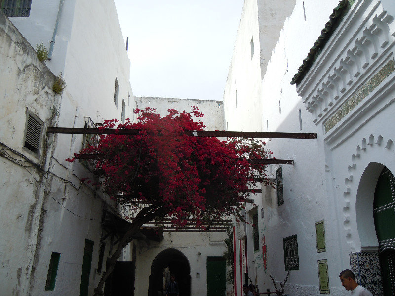 Street of our riad