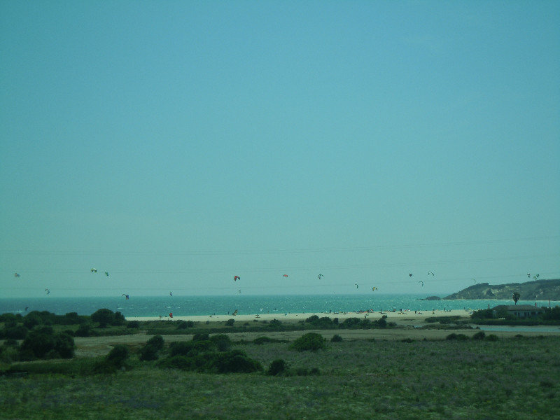 Not birds...kite surfers!