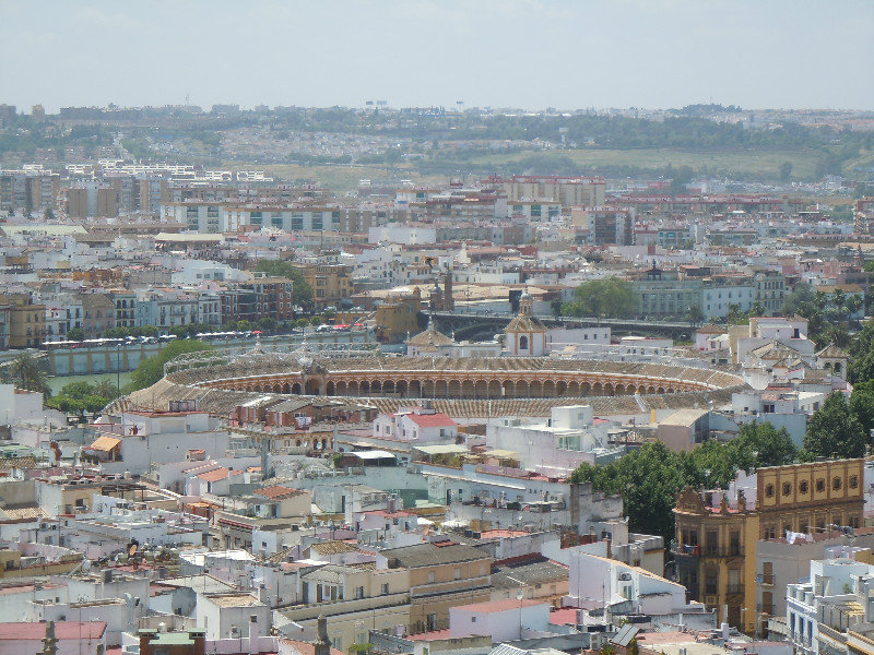 Sevilla from the Cathedral Tower