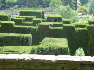 Topiary hedges