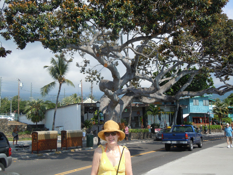 Kona with tree and my ugly, but cheap hat from Target
