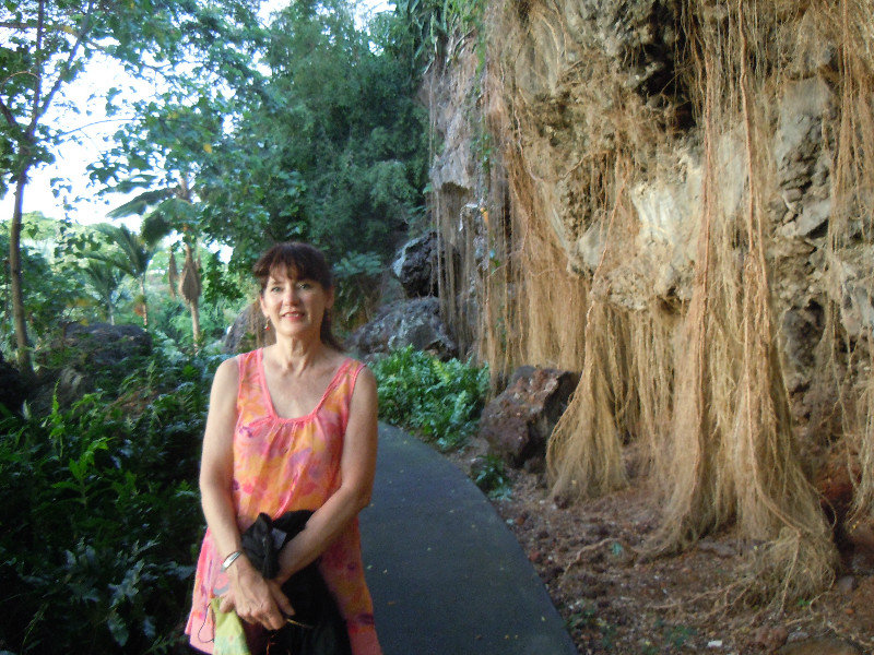 King Kamehameha's birthplace
