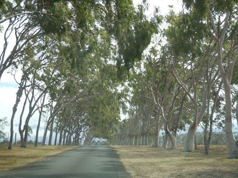 Road to the Parker Ranch Headquarters in Waimea