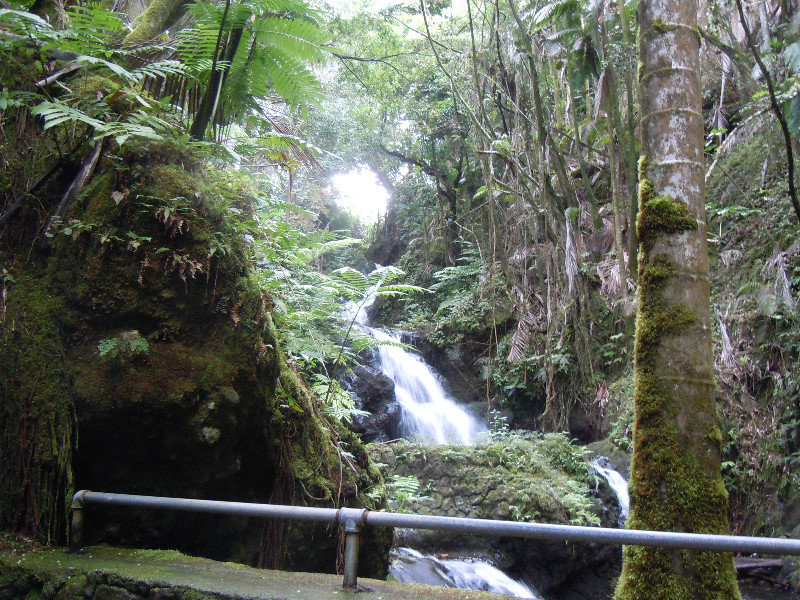 Falls in Botanical garden