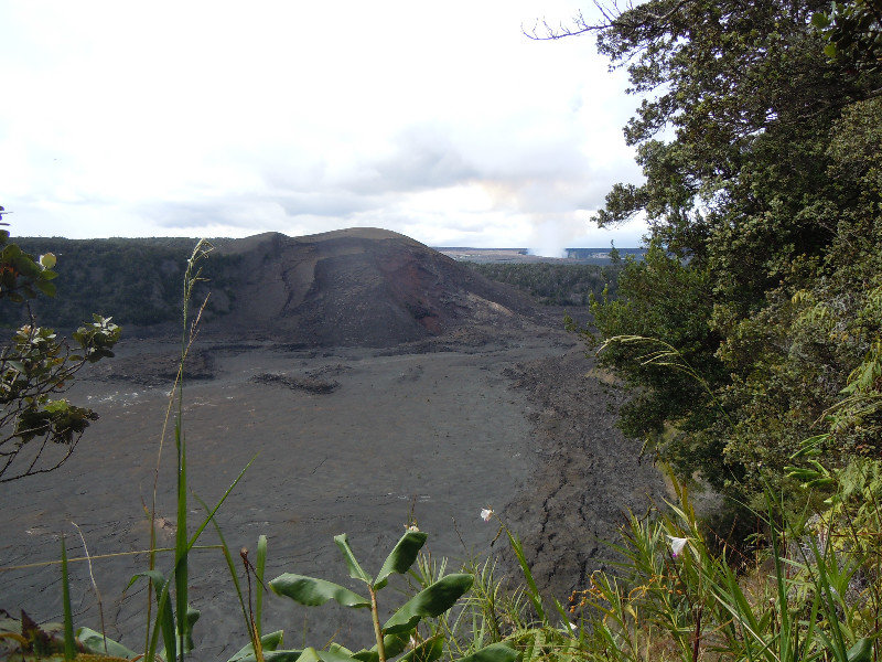 Looking in to Kilauea Iki crater fromn the trail head