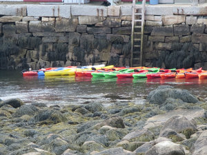 Kayaks for rent....
