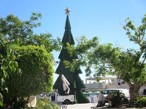 Giant fake Christmas tree in the plaza