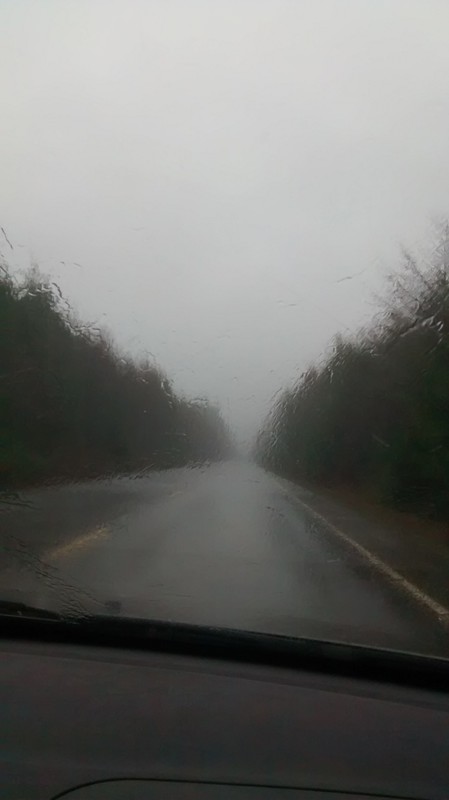 Rainy drive south