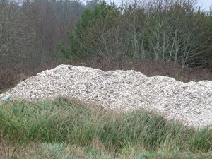 a pile of oyster shells