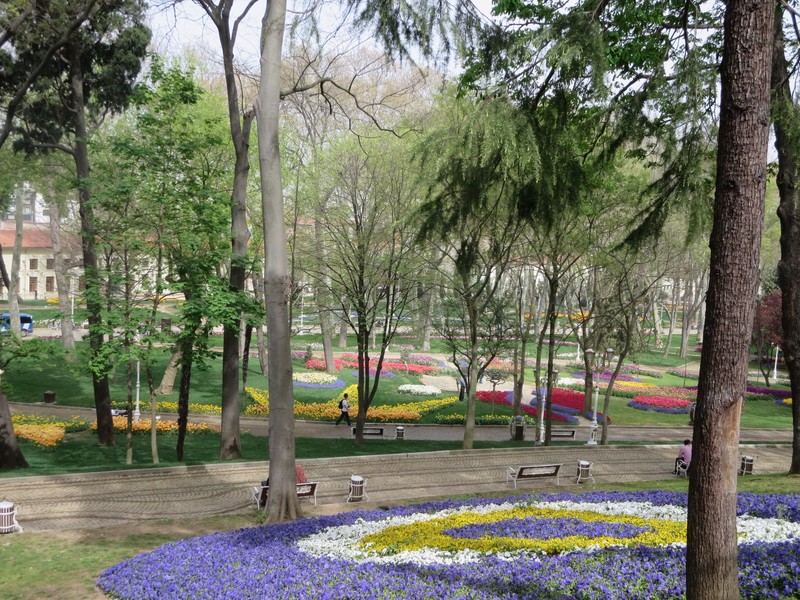 Tulips in Gulhane Park