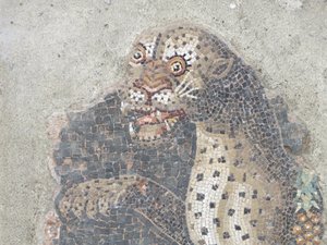 Roman Mosaic Delos