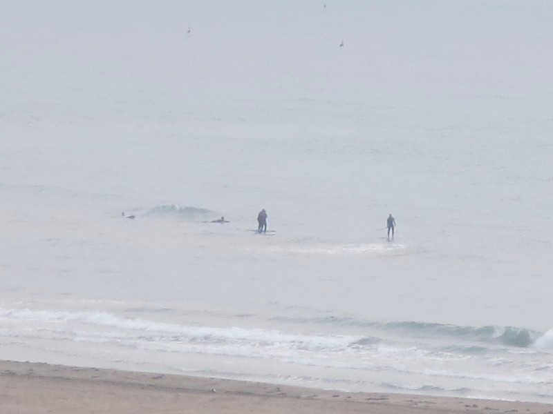 First paddle boarders, but they are surfing outside of Venice!