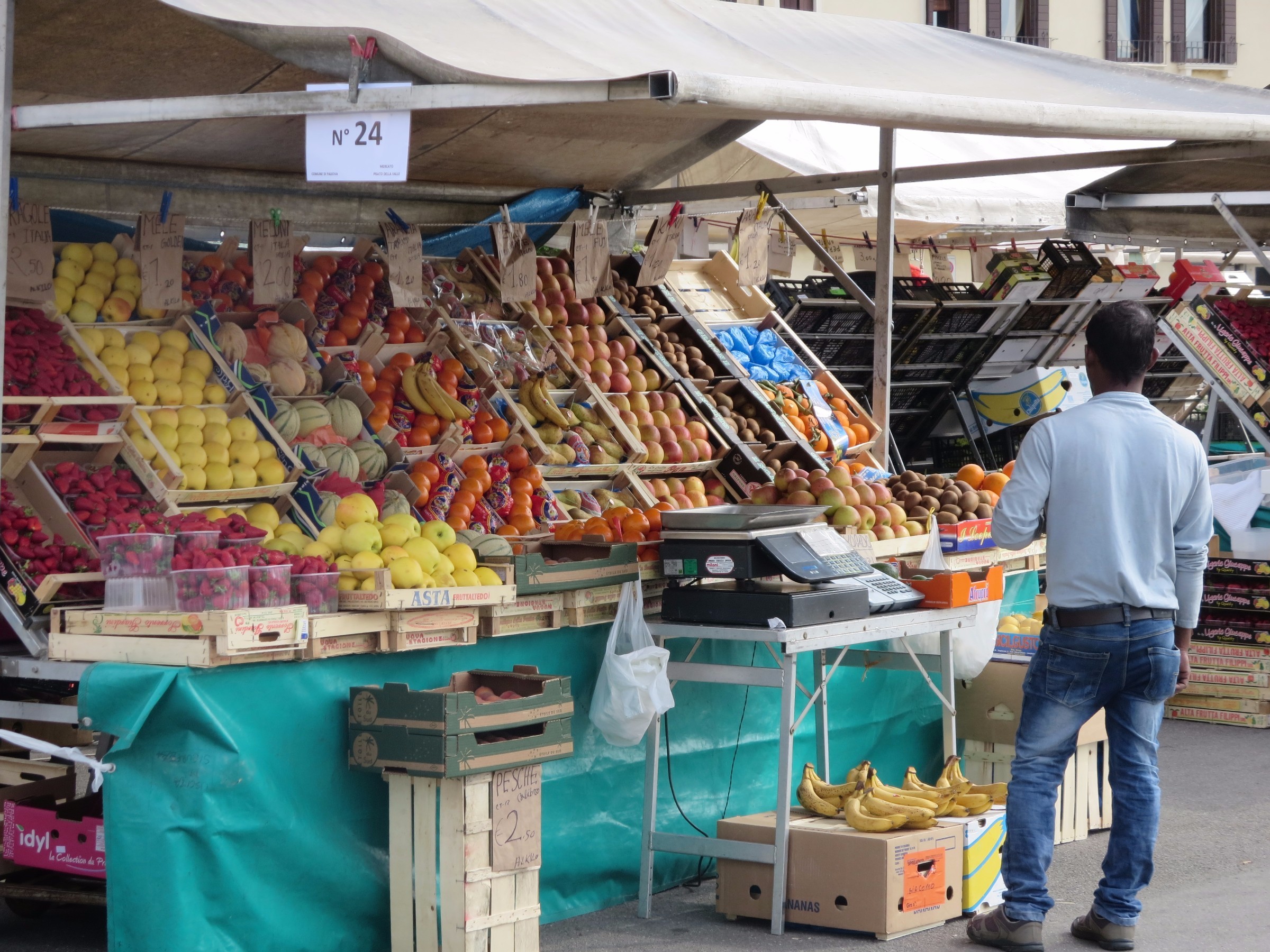 Fruit Stand Where I Shopped Photo   8827914 Fruit Stand Where I Shopped 0 