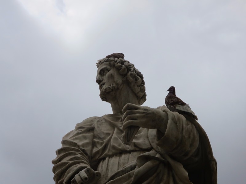 Pigeon on statue