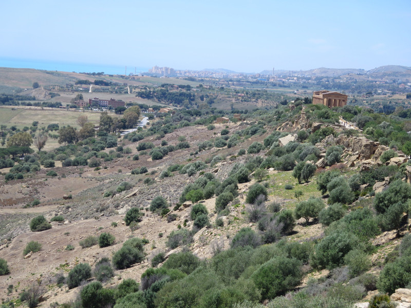 Looking along the ridge towards the Temple of Concordia