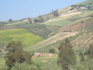 Scenery from the Palermo-Agrigento train