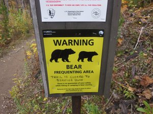 We haven't seen a bear, yet...