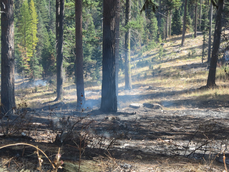 Controlled burn on the old Blewett Pass road