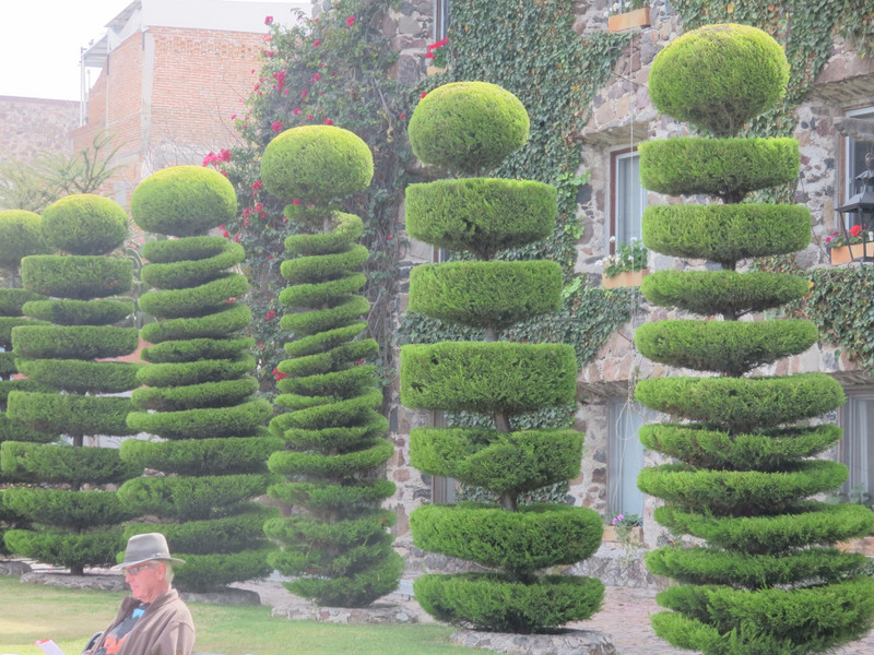 Topiary at an expensive hotel