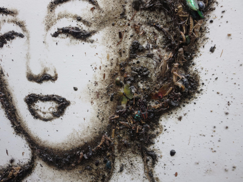 Marilyn made of dead bugs....
