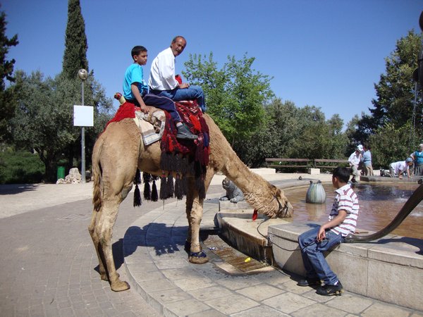Jerusalem Park