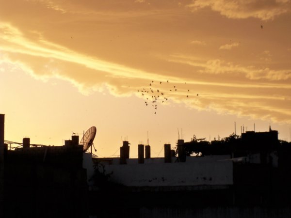 Sunset over Homs