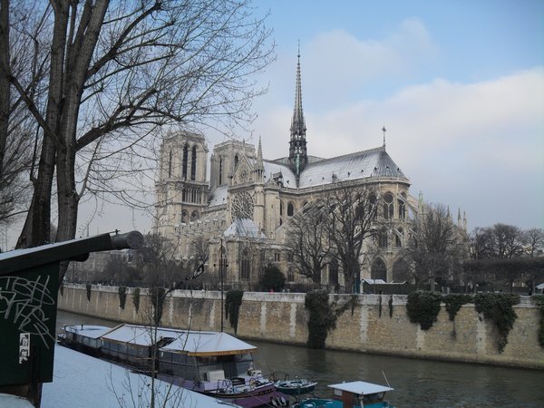 Notre Dame from across the Seine