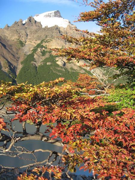 Autumn colours beneath Cerro Solo