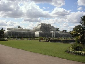 The Palm House.