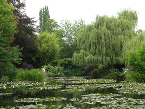 Waterlilies pond Monet's garden 