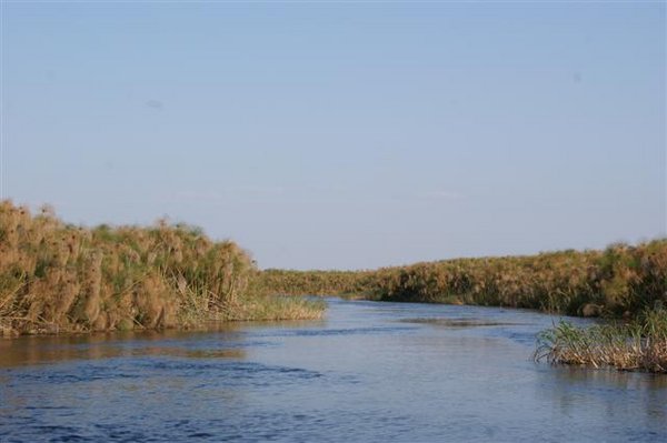 Typical delta channel off Guma Lagoon
