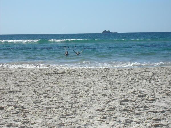 Fi and Jem playing in sea at Byron Bay!