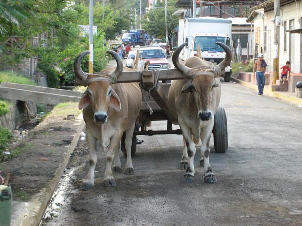 Typical Nicaraguan Street Scene