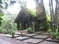 The Chapel at Selva Negra