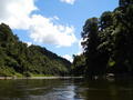 The Whanganui river