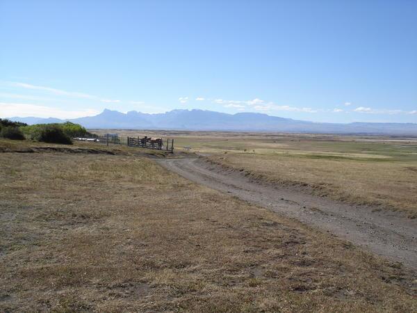 Patagonia plains