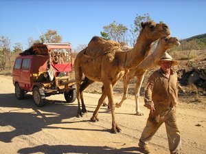 The famous camel guy
