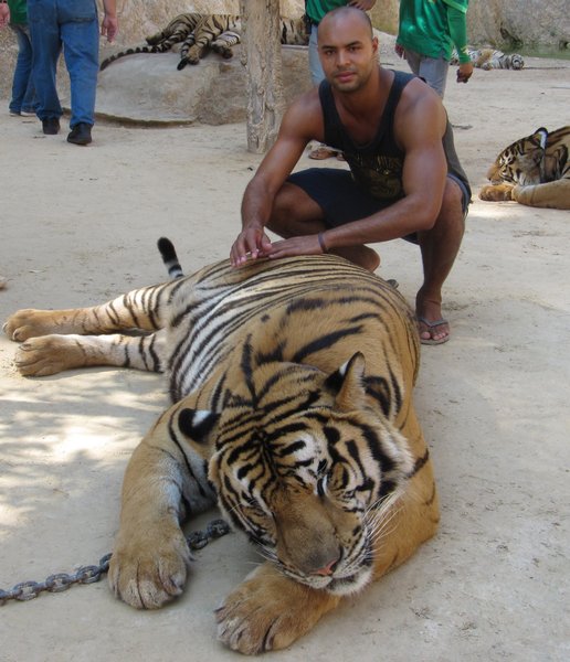 Visit to the Tiger Temple