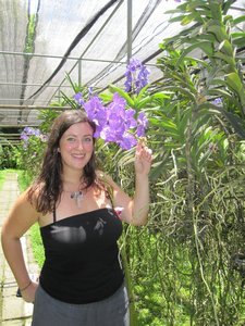 At the Orchid Farm