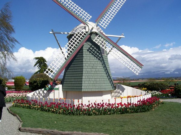 Roozen Windmill